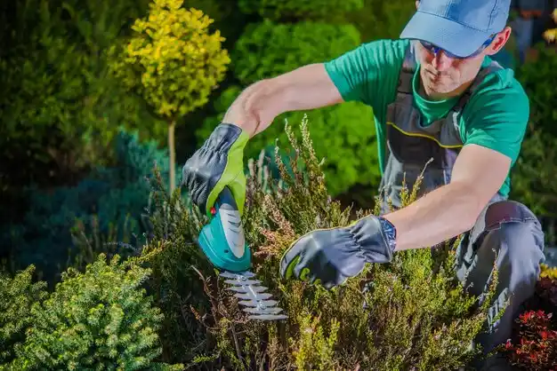 landscaping services Eldorado